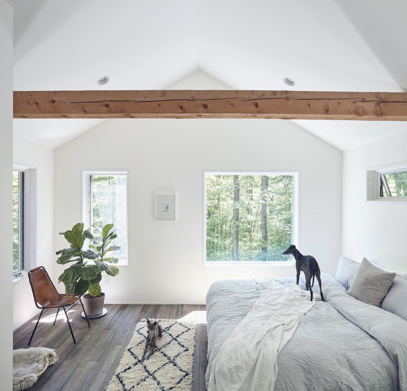 Bright bedroom with vaulted ceiling